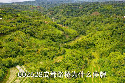 成都路橋今天什么情況，今天早成都等路橋的航班有沒有停航