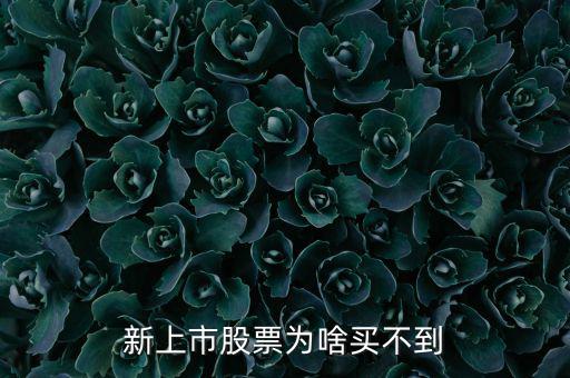 為什么新股我總買不到，新上市股票為啥買不到