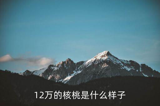 36萬(wàn)核桃長(zhǎng)什么樣，大家看這個(gè)核桃做的怎樣值多少