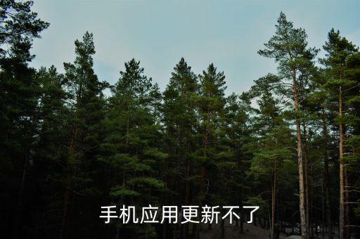 手機應(yīng)用更新不了