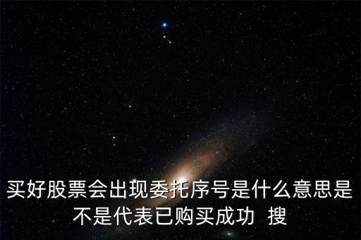 買好股票會(huì)出現(xiàn)委托序號(hào)是什么意思是不是代表已購買成功  搜