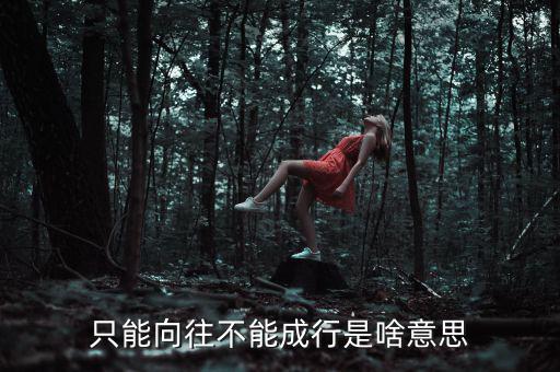 未能成行是什么意思，只能向往不能成行是啥意思