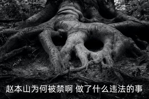 趙本山作品為什么禁播，趙本山的小品怎么也不讓播了