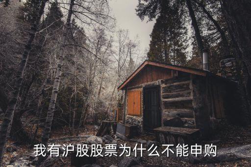 為什么我不能申購滬市新股，我有滬股股票為什么不能申購