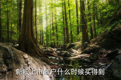 散戶什么時候才能買到新股，新股上市散戶什么時候買得到