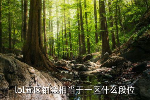 鉑金三什么水平，鉑金純度有幾個檔次