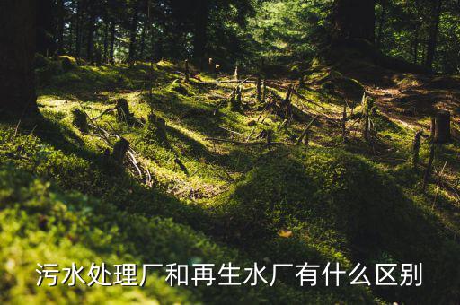 什么是再生水廠，污水處理廠和再生水廠有什么區(qū)別