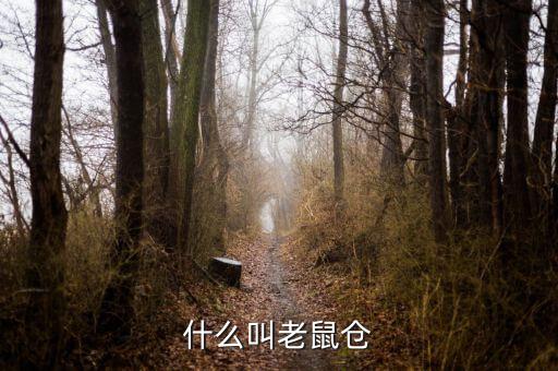 什么是老鼠倉圖形，股票中什么是老鼠倉呢簡(jiǎn)明即可