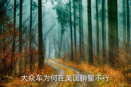 大眾車(chē)為何在美國(guó)銷(xiāo)量不行
