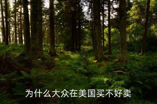 為什么大眾在美國(guó)買(mǎi)不好賣(mài)