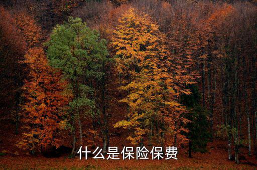 什么是保單保費，什么是保險保費