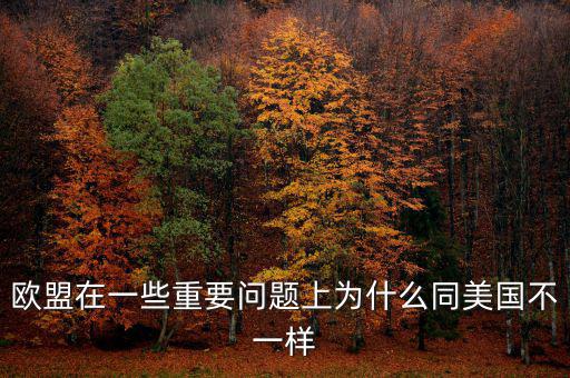 歐盟在一些重要問題上為什么同美國(guó)不一樣