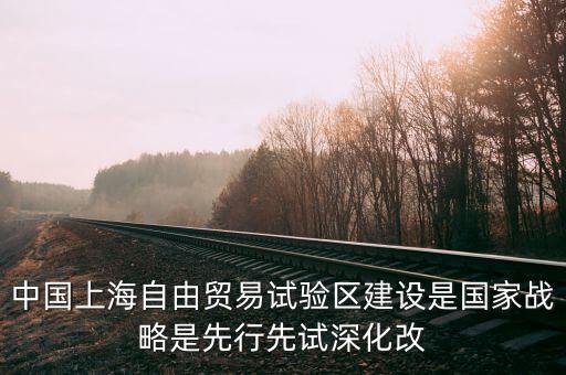 上海自貿(mào)區(qū)改革新60條是什么，建立上海自貿(mào)區(qū)屬于宏觀調(diào)控的哪個(gè)手段
