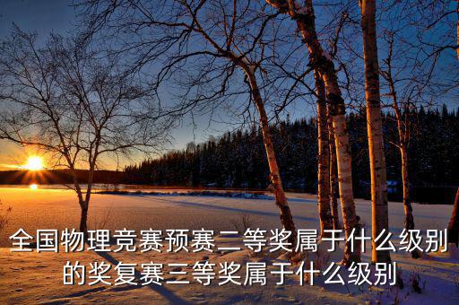 全國物理競賽預(yù)賽二等獎(jiǎng)屬于什么級別的獎(jiǎng)復(fù)賽三等獎(jiǎng)屬于什么級別