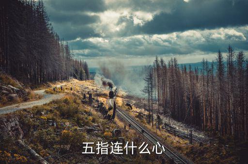 什么是五指理論，陳鶴琴提出的著名教育理論是