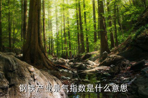 景氣度是什么意思，鋼鐵產(chǎn)業(yè)景氣指數(shù)是什么意思