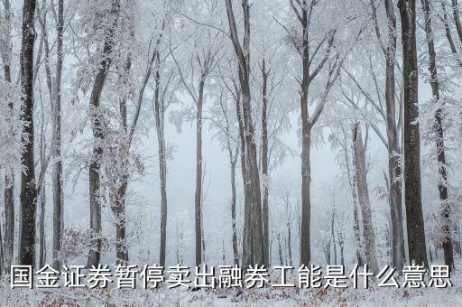 暫停融券是什么意思，國金證券暫停賣出融券工能是什么意思