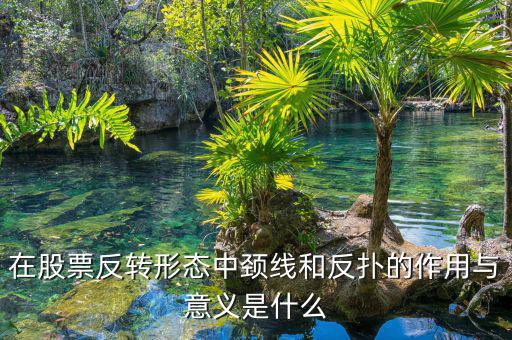 股票反撲是什么意思，在股票反轉(zhuǎn)形態(tài)中頸線和反撲的作用與意義是什么