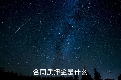 質押金是什么，期貨中的質押金是什么意思