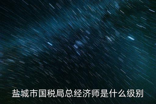 鹽城市國稅局總經(jīng)濟(jì)師是什么級別
