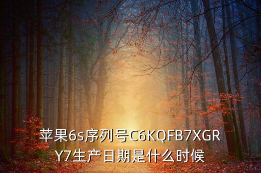 圣誕節(jié)買的6s生產(chǎn)日期是什么，蘋果6s序列號(hào)C6KQFB7XGRY7生產(chǎn)日期是什么時(shí)候