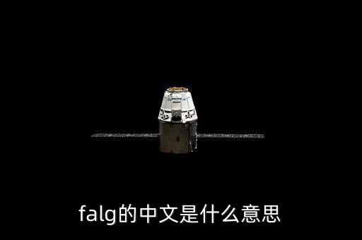 lfg什么意思，igi和lfg是什么意思
