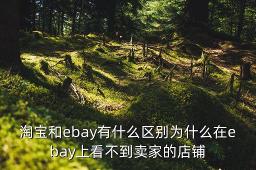 淘寶和ebay有什么區(qū)別為什么在ebay上看不到賣(mài)家的店鋪