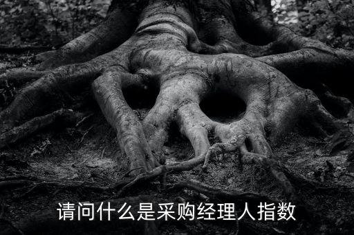采購經(jīng)理人指數(shù)是什么，IVEY采購經(jīng)理人指數(shù)指的是什么