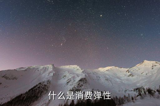 什么是消費彈性，什么是消費彈性
