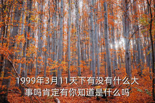 1999年3月11天下有沒有什么大事嗎肯定有你知道是什么嗎