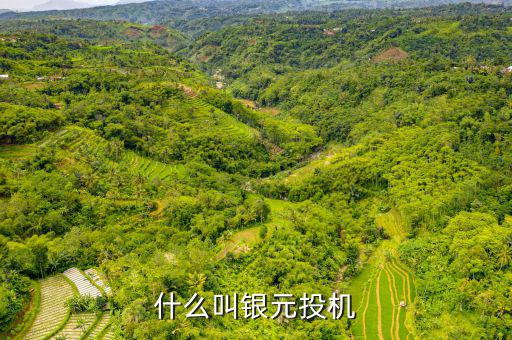 什么叫貨幣投機(jī)，什么是投機(jī)性的貨幣需求