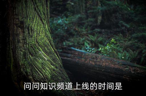 愛網(wǎng)貸平臺什么時候上線，問問知識頻道上線的時間是