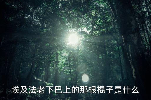 埃及法老的胡子叫什么，胡扶是埃及的第幾代法老