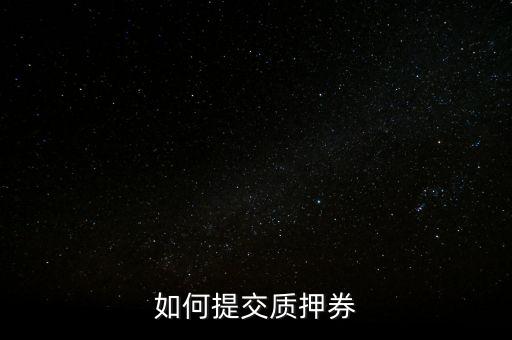 質押券是什么，如何提交質押券