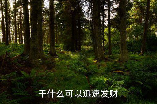 干什么可以迅速發(fā)財