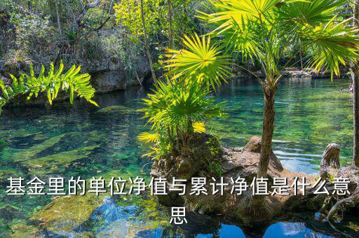 基金凈值和累計凈值是什么，基金里的單位凈值與累計凈值是什么意思