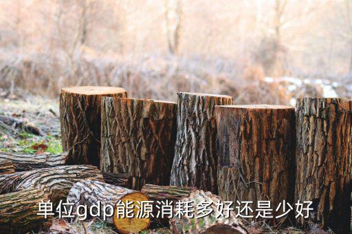 單位GDP越高說明什么，GDP代表著什么