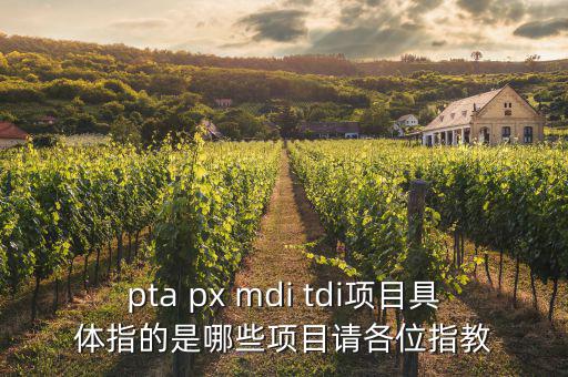 pta px mdi tdi項目具體指的是哪些項目請各位指教