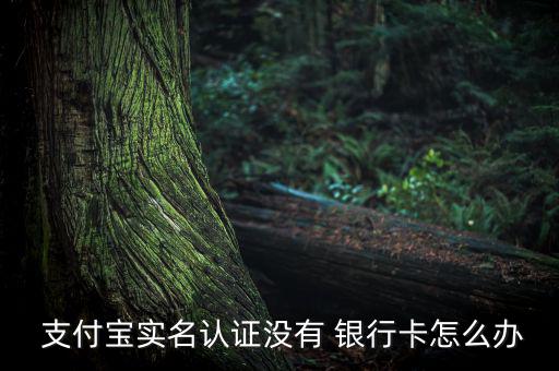  支付寶實名認證沒有 銀行卡怎么辦
