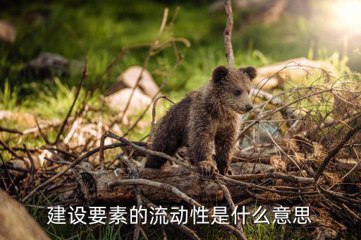 什么是要素流動，建設(shè)要素的流動性是什么意思