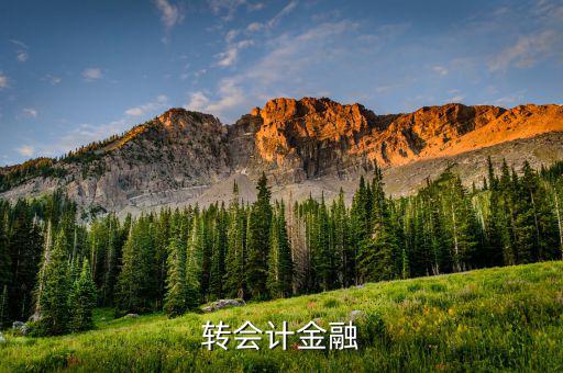 什么是外匯飽和，國外網(wǎng)友說要轉(zhuǎn)外幣給我叫我轉(zhuǎn)給她國內(nèi)的朋友她國內(nèi)的朋友銀