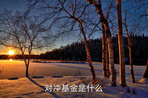 對(duì)沖基金到底是什么，對(duì)沖基金是什么