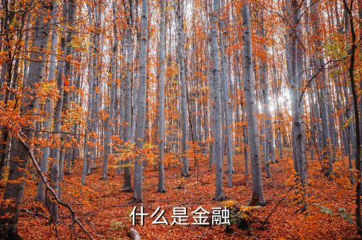 金融是什么，什么是金融