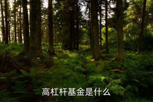 什么是低凈利率高杠桿，什么是高杠桿