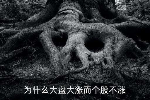 板塊都漲我的個股不長什么原因，為什么大盤大漲而個股不漲
