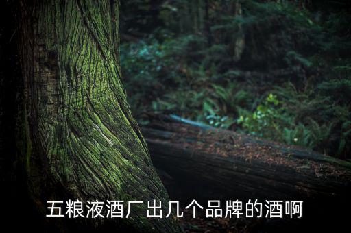 五糧液酒廠(chǎng)出幾個(gè)品牌的酒啊