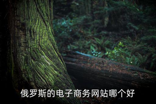 俄羅斯的電子商務網站哪個好
