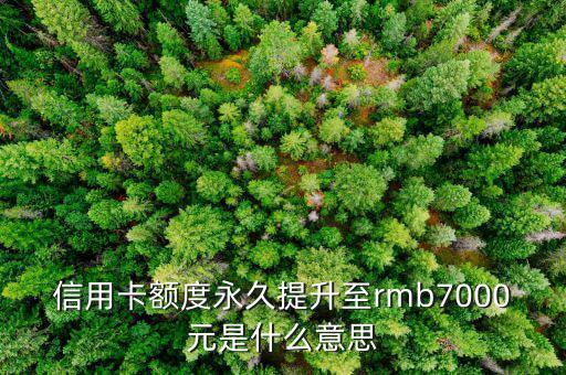 信用卡永久額度是什么意思，信用卡額度永久提升至rmb7000元是什么意思