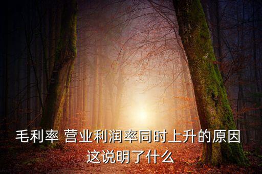 毛利率增長說明什么，增值稅毛利率的高低說明什么