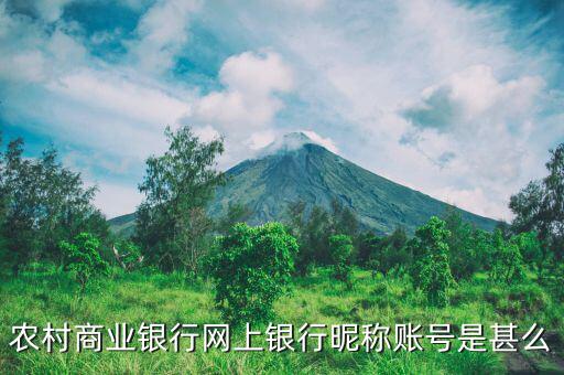 吳江農(nóng)村商業(yè)銀行用戶名是什么，銀行用戶名是什么